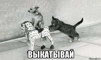  выкатывай