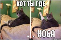 кот ты где -_-