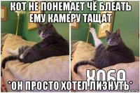 кот не понемает чё блеать ему камеру тащат *он просто хотел лизнуть*