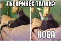 ты принес тапки? 