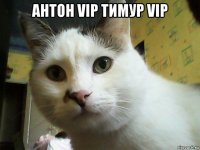 антон vip тимур vip 