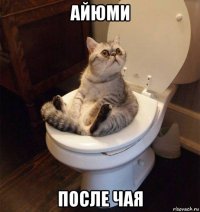 айюми после чая