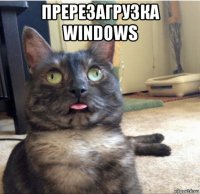 пререзагрузка windows 