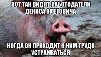 вот так видят работодатели дениса олеговича когда он приходит к ним трудо устраиваться
