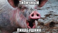 типичный пикабушник