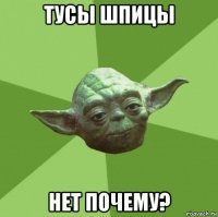 тусы шпицы нет почему?