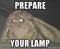 prepare your lamp