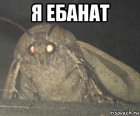 я ебанат 