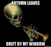 autumn leaves drift by my window