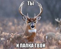 ты и папка твой