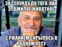 за секунду до того, как это милое животное с ржанием скрылось в родном лесу