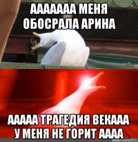 ааааааа меня обосрала арина ааааа трагедия векааа у меня не горит аааа