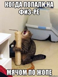 когда попали на физ-ре мячом по жопе
