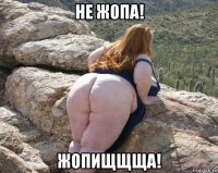не жопа! жопищщща!