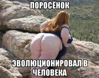поросёнок эволюционировал в человека
