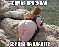 самая красивая свинья на планете