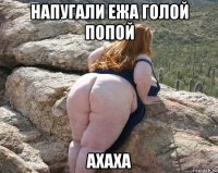 напугали ежа голой попой ахаха