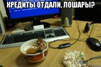 кредиты отдали, лошары? 