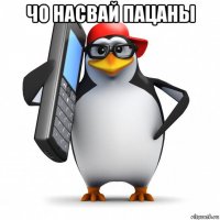 чо насвай пацаны 