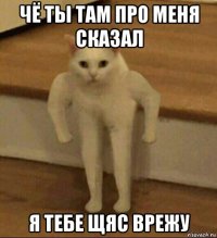 чё ты там про меня сказал я тебе щяс врежу