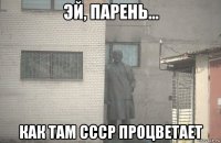  как там ссср процветает