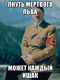 пнуть мертвого льва может каждый ишак