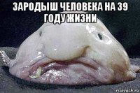 зародыш человека на 39 году жизни 
