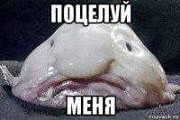 поцелуй меня