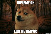 почему он еще не вырос