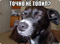 точно не топил? 