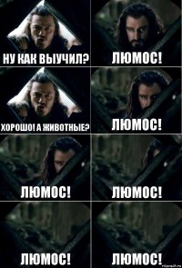 Ну как выучил? Люмос! Хорошо! а животные? Люмос! Люмос! Люмос! Люмос! Люмос!