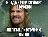 когда ветер сдувает ворохом желтые листочки с веток