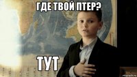 где твой птер? 