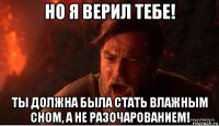 но я верил тебе! ты должна была стать влажным сном, а не разочарованием!