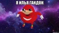 я илья гандон 