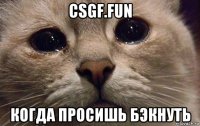 csgf.fun когда просишь бэкнуть