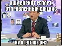 ищу спринт репорт, отправленный дженис ну и где же он?