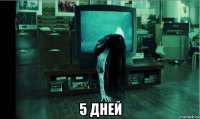  5 дней