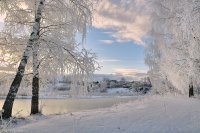 Создать мем 20 дней до декабря