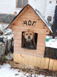 Создать мем ЧОГ