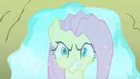 Создать мем Fluttershy-evil