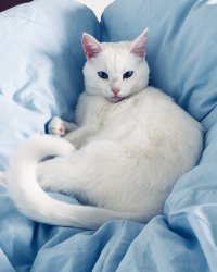 Создать мем Хочешь меня