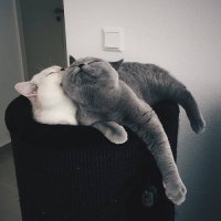 Создать мем КУСЬ