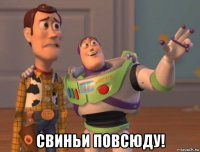  свиньи повсюду!