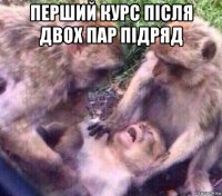 перший курс після двох пар підряд 