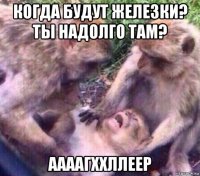 когда будут железки? ты надолго там? аааагххллеер