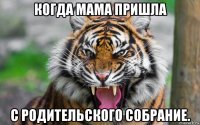 когда мама пришла с родительского собрание.