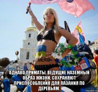  однако приматы, ведущие наземный образ жизни, сохраняют приспособления для лазания по деревьям.