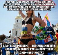 способы передвижения включают прыжки с дерева на дерево, хождение на двух или четырёх конечностях, хождение на задних конечностях с опорой на пальцы передних конечностей, а также брахиацию — перемещение, при котором животное раскачивается на передних конечностях.