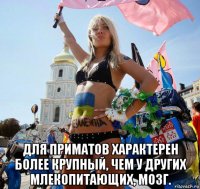  для приматов характерен более крупный, чем у других млекопитающих, мозг.